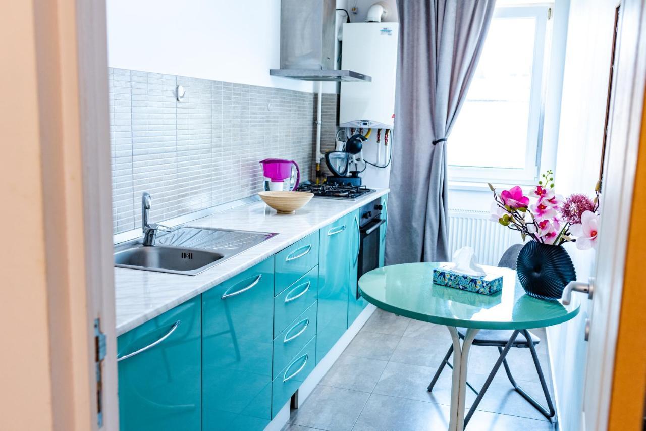 Thome Hoia Studio 1Bedroom Kluż-Napoka Zewnętrze zdjęcie